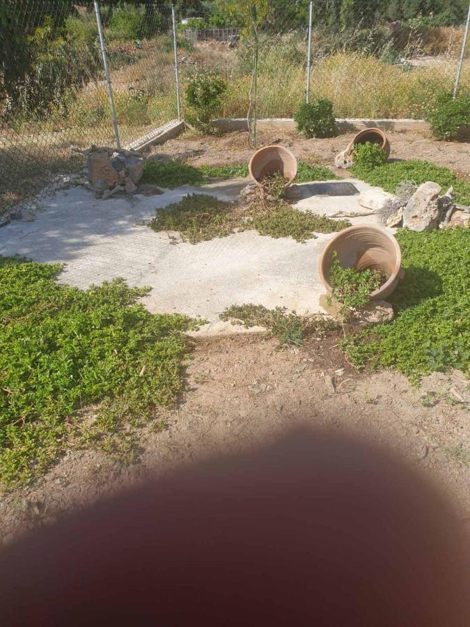 הוילה פלקסטרון Anemolia Tiny Stone House מראה חיצוני תמונה